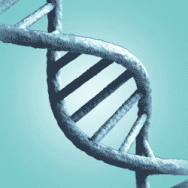Gene Guided Nutri Small Image